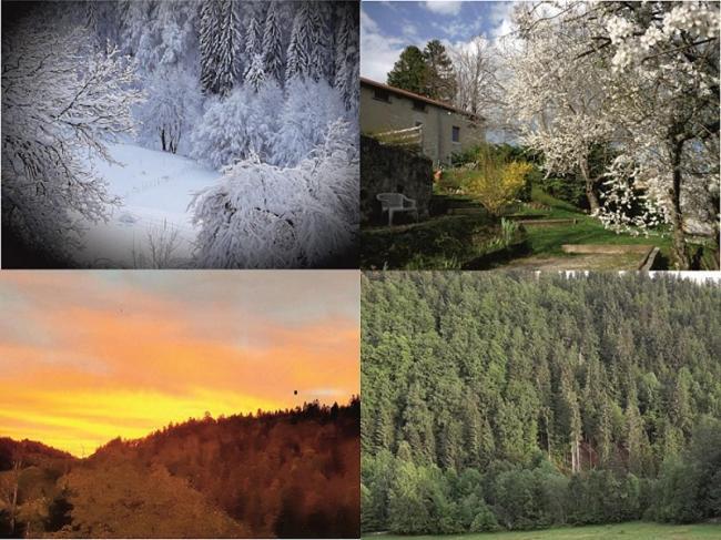 Gite Les Loges D'Arbez Septmoncel-Les-Molunes ภายนอก รูปภาพ